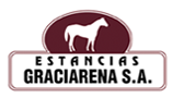 Estancias Graciarena Estancias Graciarena