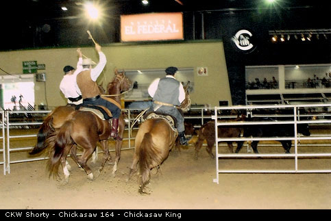 CKW Shorty - Chickasaw 164 - Chickasaw King