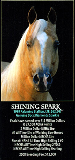 Shining Spark